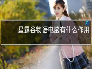 星露谷物语电脑有什么作用