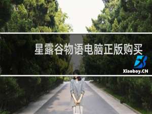 星露谷物语电脑正版购买