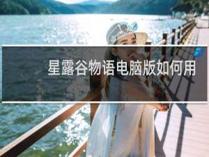 星露谷物语电脑版如何用