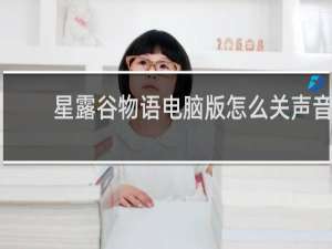 星露谷物语电脑版怎么关声音