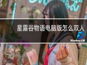 星露谷物语电脑版怎么双人