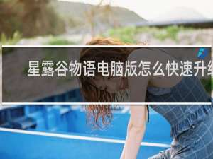 星露谷物语电脑版怎么快速升级