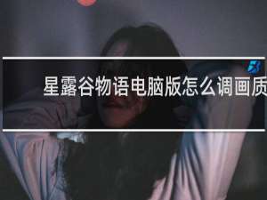 星露谷物语电脑版怎么调画质