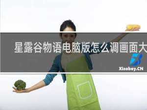 星露谷物语电脑版怎么调画面大小