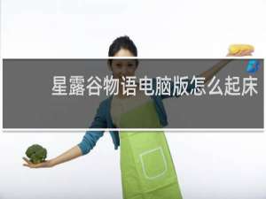 星露谷物语电脑版怎么起床