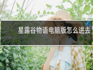 星露谷物语电脑版怎么进去