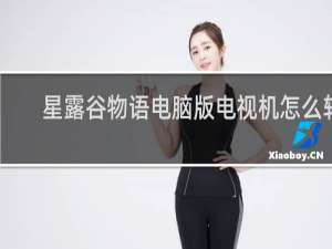 星露谷物语电脑版电视机怎么转