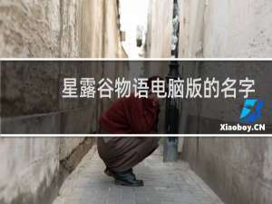 星露谷物语电脑版的名字