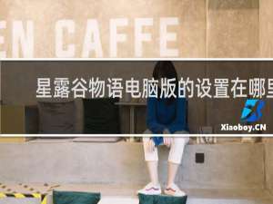 星露谷物语电脑版的设置在哪里