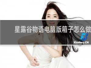 星露谷物语电脑版箱子怎么做