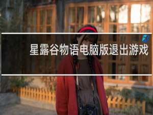 星露谷物语电脑版退出游戏
