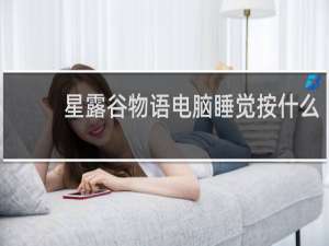 星露谷物语电脑睡觉按什么