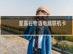 星露谷物语电脑联机卡