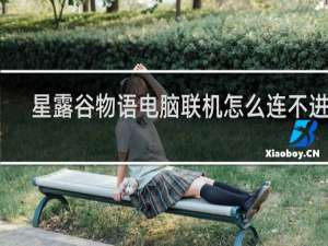星露谷物语电脑联机怎么连不进去