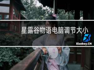 星露谷物语电脑调节大小