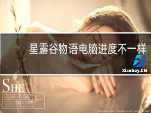 星露谷物语电脑进度不一样