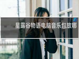 星露谷物语电脑音乐包放哪