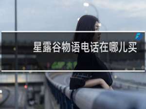 星露谷物语电话在哪儿买
