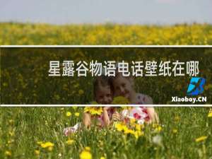 星露谷物语电话壁纸在哪