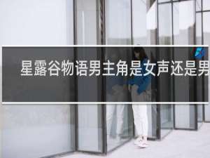 星露谷物语男主角是女声还是男声