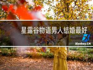 星露谷物语男人结婚最好