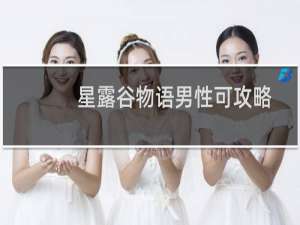 星露谷物语男性可攻略