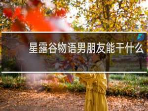 星露谷物语男朋友能干什么