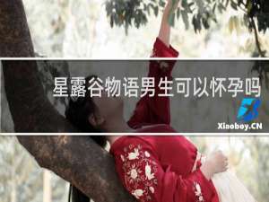 星露谷物语男生可以怀孕吗