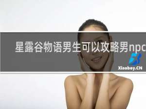 星露谷物语男生可以攻略男npc吗