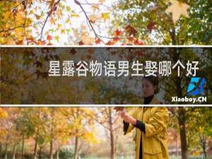 星露谷物语男生娶哪个好