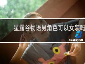 星露谷物语男角色可以女装吗