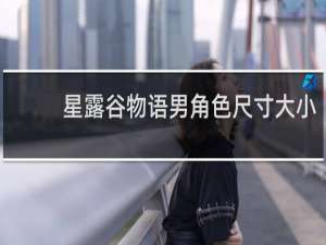 星露谷物语男角色尺寸大小