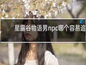 星露谷物语男npc哪个容易追