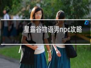星露谷物语男npc攻略