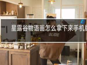星露谷物语画怎么拿下来手机版