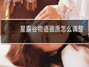 星露谷物语画质怎么调整