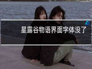 星露谷物语界面字体没了