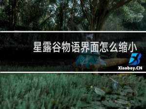 星露谷物语界面怎么缩小