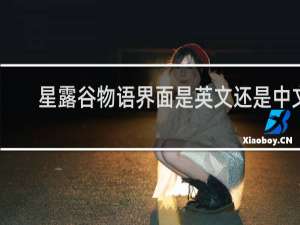 星露谷物语界面是英文还是中文
