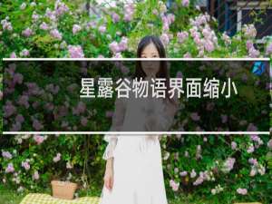 星露谷物语界面缩小