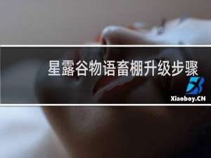 星露谷物语畜棚升级步骤