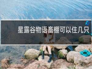 星露谷物语畜棚可以住几只