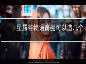 星露谷物语畜棚可以造几个
