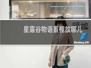星露谷物语畜棚放哪儿