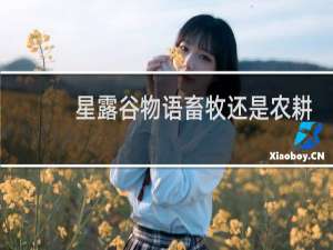 星露谷物语畜牧还是农耕