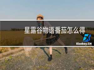 星露谷物语番茄怎么得