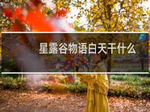 星露谷物语白天干什么