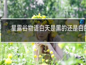 星露谷物语白天是黑的还是白的