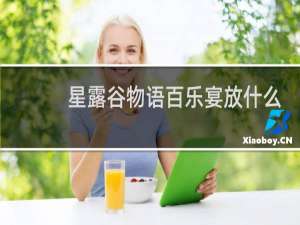 星露谷物语百乐宴放什么