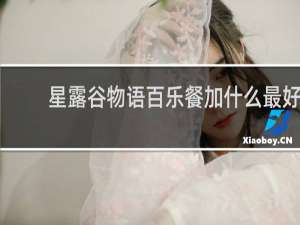 星露谷物语百乐餐加什么最好